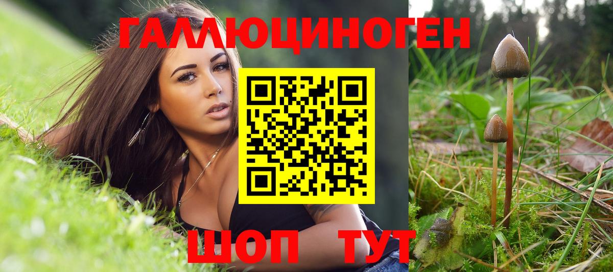 Минусинск  закладки  Вход с VPN  Галлюциногенные грибы мицелий 